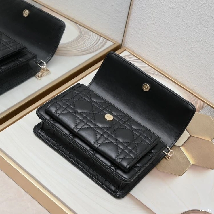 85543 Bags Christian SunProtective Satchel Dior 0705